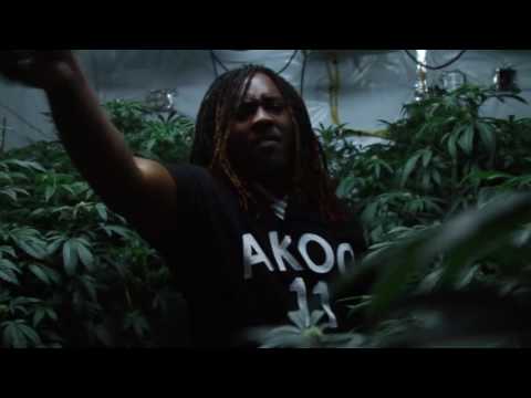 Doc Dolla - Garden