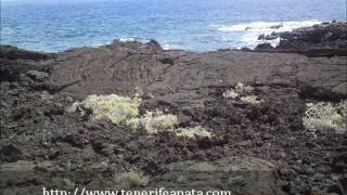 preview picture of video 'Senderos de Tenerife-El Malpaís de Güimar.'