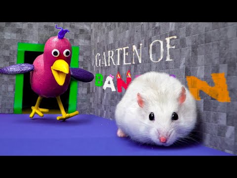 Opila Bird Vs Hamsterious In Garten of BanBan | Hamster Escape Challenges