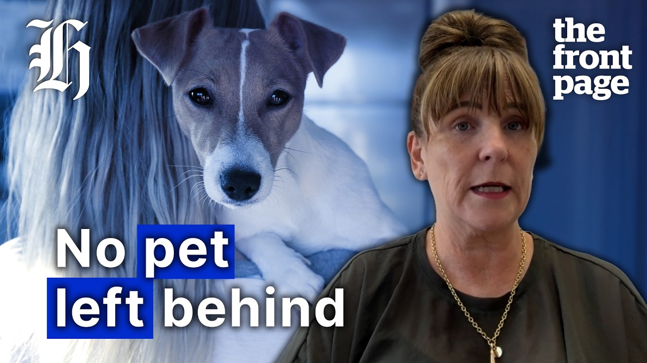 How pets are keeping victims trapped in violent homes | The Front Page