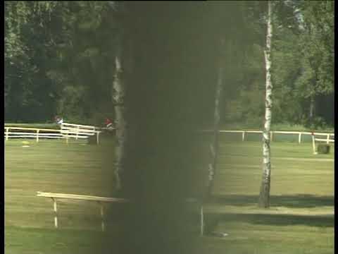 LL, 6. 7. 2019, 2. dostih - HANDICAP SPOLEČNOSTI PRAGIS