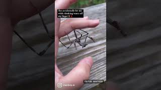 Praying mantis bit me