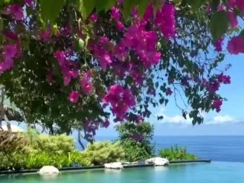 481,Nasceu Jesus, Playback-HBJ