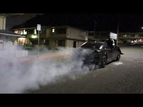 Juws - Jungle Of Pain | Directed By 1changroof