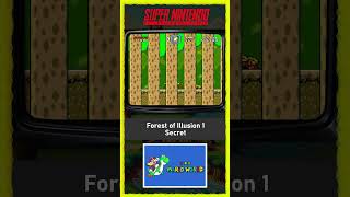 Capa de Forest of Illusion 1 (Secreta)
