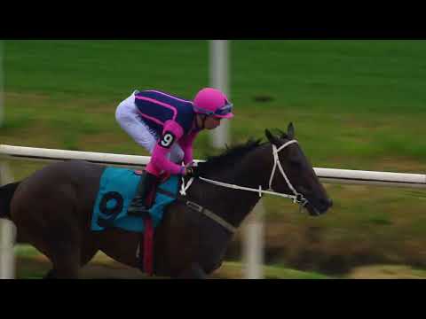 230903 c06 FATTO D´AMORE (BRZ)