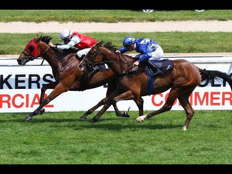 Köln: 20 Jahre Lepel & Lepel Architekten-Rennen (D) - Sieger: Aconito