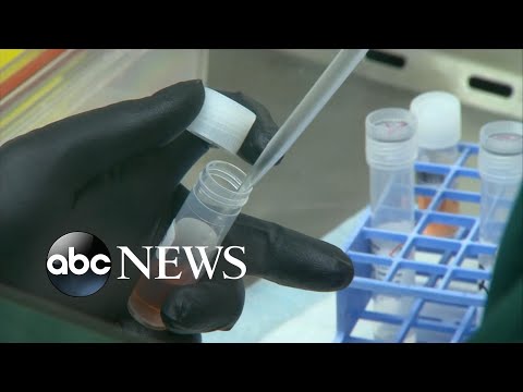 コロナウイルスの発生における迅速な動き (Fast moving developments in the coronavirus outbreak)