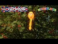 Off Colour Numberjacks Full Episode Season 1 Episode 17 ZeeKay British Cartoons