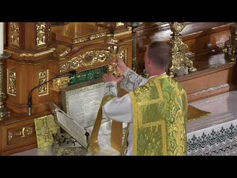 Offertorium - Dominica IX Post Pentecosten I. Augusti (Ps 18:9-12)
