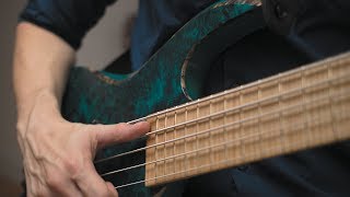 Video thumbnail for Amos Williams - TesseracT - Luminary - Bass Playthrough - Kiesel AW5 by Amos Williams