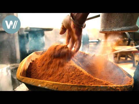 Kurkuma: Wunderknolle Indiens - Gewürz, Heilmittel und vieles mehr