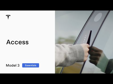 Access Model 3