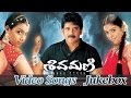 Shivamani Telugu Movie Video Songs Jukebox Nagarjuna Akkineni Asin Rakshitha