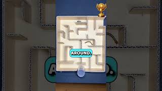 INSANE INSECT RACE in a MAZE… The Ending Is CRAZY 🤯 #shorts  #curiosity  #wow #racing  #maze