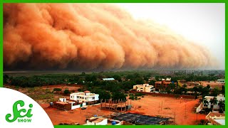 How Climate Contributes To Record-Breaking Dust Storms