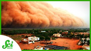 How Continent-Sized Dust Storms Form