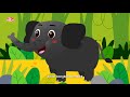 Gajah Nor Ika Finalized