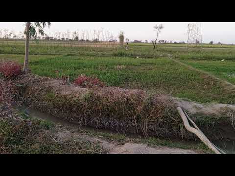 vallage nazra Good Evening time