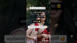 sister ❤ sister love status video in sinhala 111