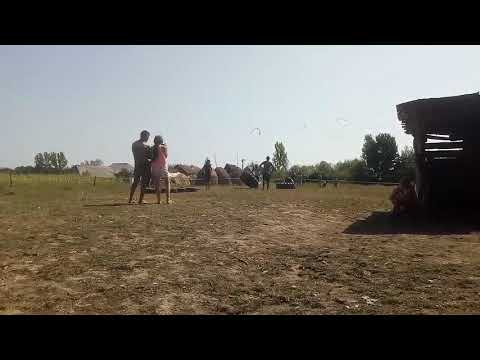 Nyári tábor Remetén