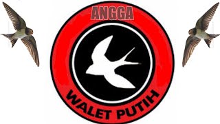 Download lagu Suara Panggil Walet SP. Raja Walet Putih By. Angga mp3