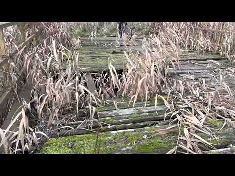 Rajd Niepodległości 2022