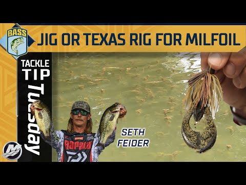 Seth Feider's grass flipping debate: Texas Rig vs. Jig in Milfoil