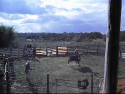 Fabricio Alves X Big Brother.