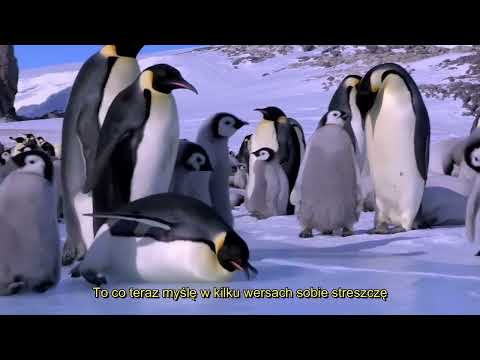 HVGQ - NIEBEZPIECZNIE