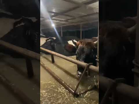 اخوان اسبانيا الامطار غزيره في اسبانيا فيضانات