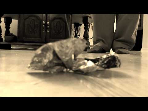 Gr 12 Scroedinger's Toy