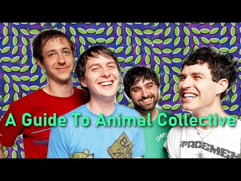 Animals, Collected: A Guide To Animal Collective