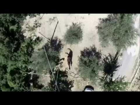 Accadia... prova riprese aeree con drone quad 200716