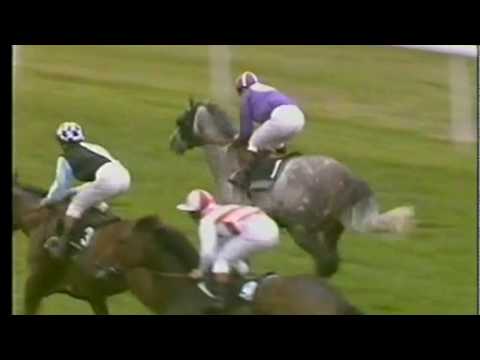 1988 King Stand Stakes Royal Ascot
