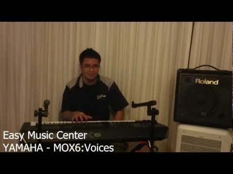 Voices Of The Yamaha MOX