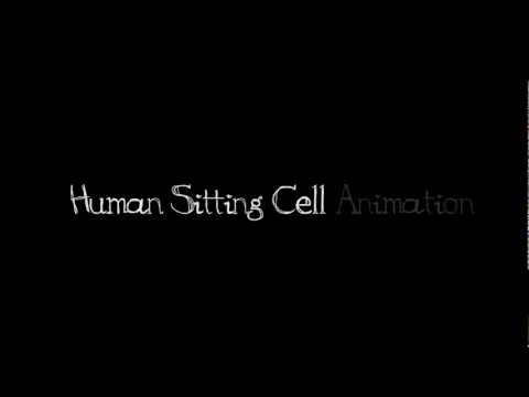 Female Sitting/Standing Cell Animation