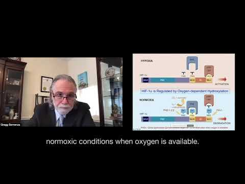 Gregg Semenza at GYSS 2021 – Hypoxia-Inducible Factors in Physiology and Medicine
