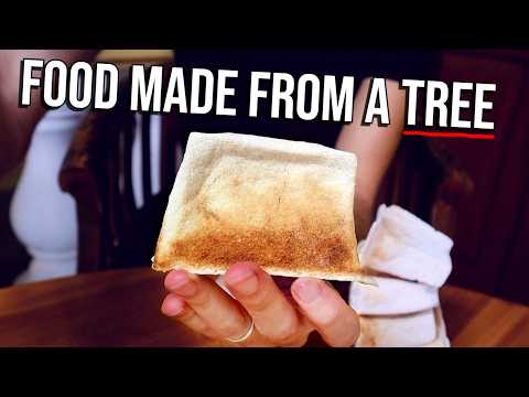 SAGO - The Staple Food Made From the Trunk of a Tree