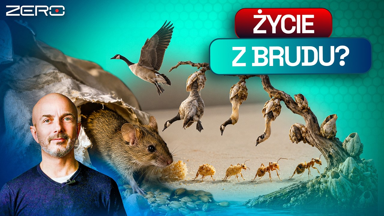 JAK POWSTAŁO PIERWSZE ŻYCIE? TEORIA SAMORÓDZTWA | NAUKOWE ZERO