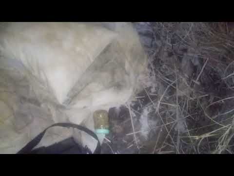 CAÇADORES DE RITUAIS E MACUMBA: EM BUSCA DO VELHO ANÇIAO SUSPEITO VEJA QUE ENCONTRAMOS!