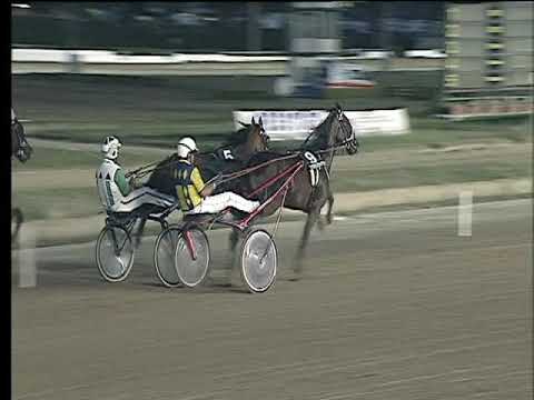 Trotto 19/08/2017 - 1ª corsa