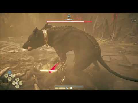 Fighting"Cerberos"The Hell Hound of Hades!Swellestspice Videos/AC Odyssey