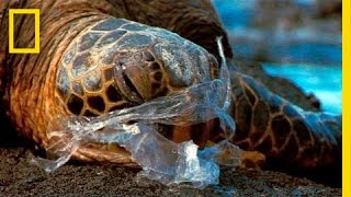 Um oceano de plástico