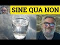🔵 Sine Qua Non Meaning - Sine Qua Non Examples - Sine Qua Non Definition - Latin in Formal English