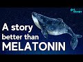 This Bedtime Story Works Better Than Melatonin The Sleepy Sounds Of The Ocean RELAXING Story