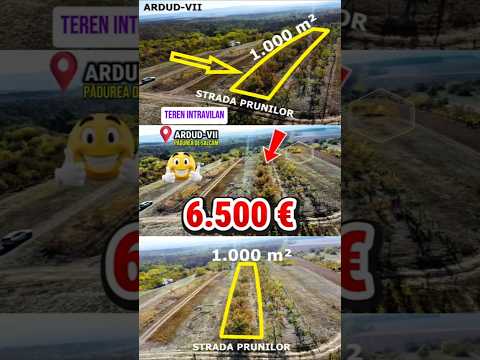 VIDEO | Teren intravilan cu livada – 1.000 m² in Ardud-Vii, cu view spectaculos! — Video