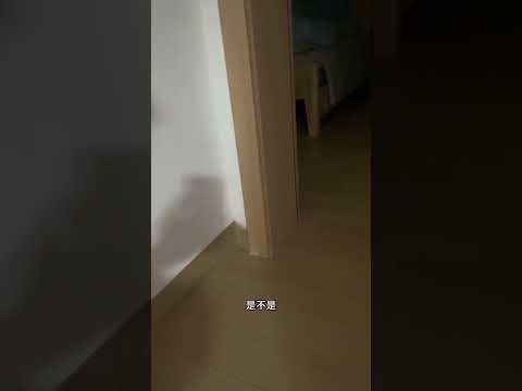 綠帽男質問老婆出軌