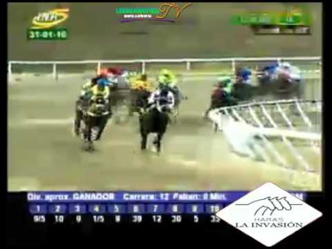 LA RINCONADA 12 CARRERA, DOMINGO 31 DE ENERO DEL 2016