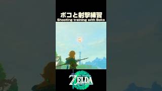 ボコと射撃練習【ゼルダの伝説 ティアーズオブザキングダム】
